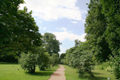 The Hokkaido University botanical garden