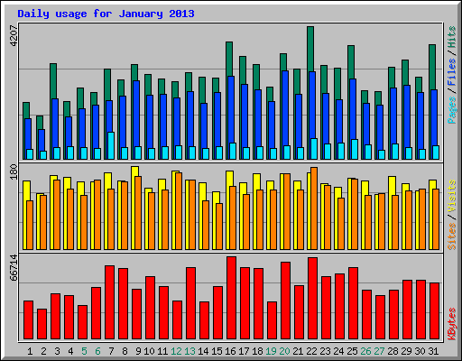 Daily usage for January 2013