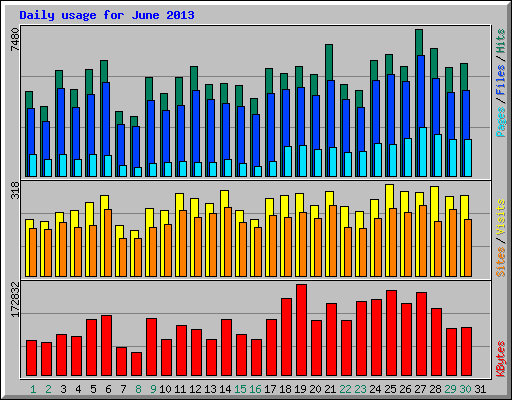 Daily usage for June 2013