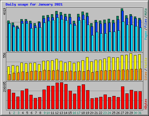 Daily usage for January 2021
