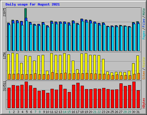 Daily usage for August 2021