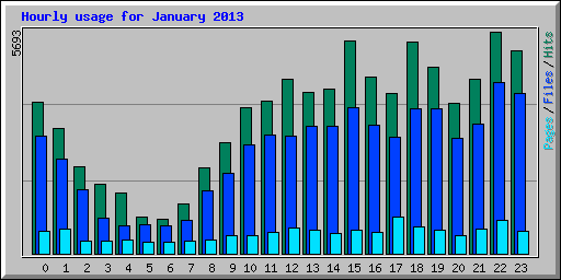 Hourly usage for January 2013