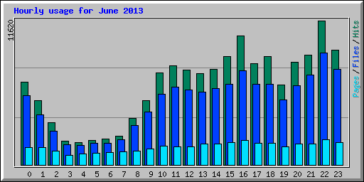 Hourly usage for June 2013