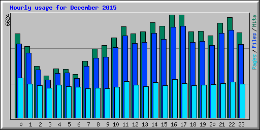 Hourly usage for December 2015