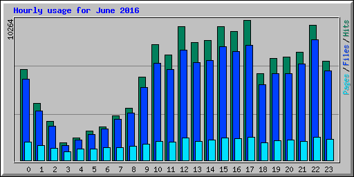 Hourly usage for June 2016