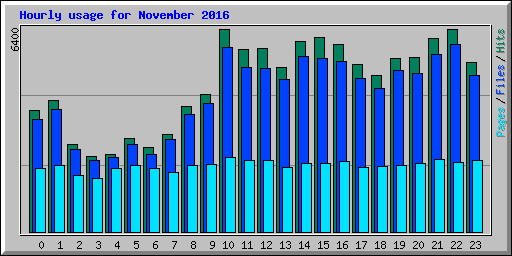 Hourly usage for November 2016