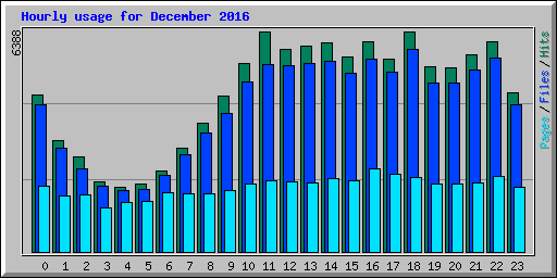 Hourly usage for December 2016