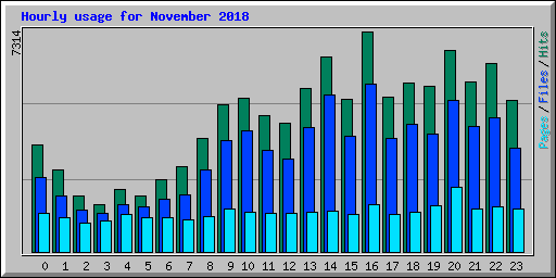 Hourly usage for November 2018