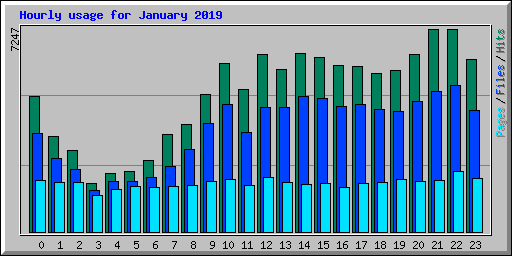 Hourly usage for January 2019