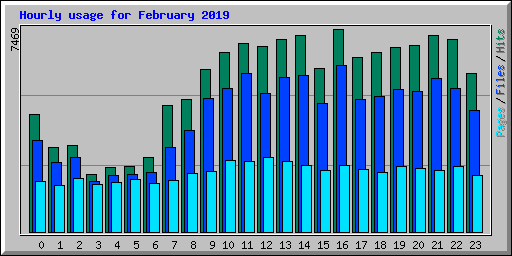 Hourly usage for February 2019