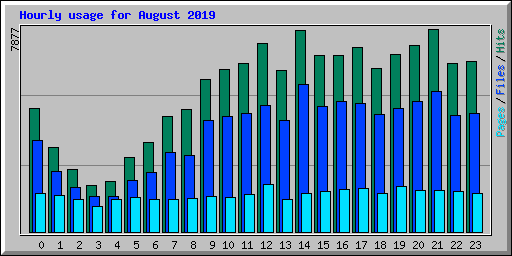 Hourly usage for August 2019