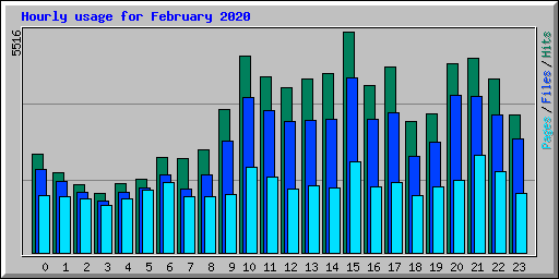 Hourly usage for February 2020