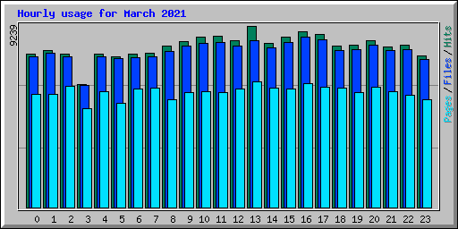 Hourly usage for March 2021