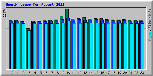 Hourly usage for August 2021