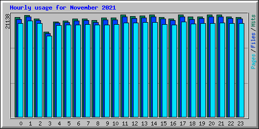 Hourly usage for November 2021