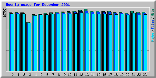 Hourly usage for December 2021
