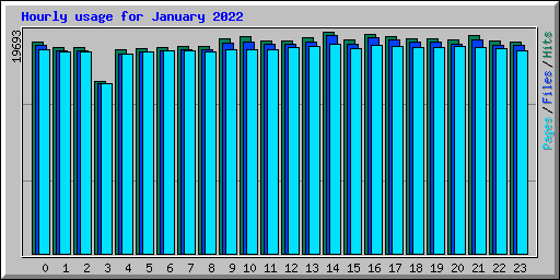 Hourly usage for January 2022