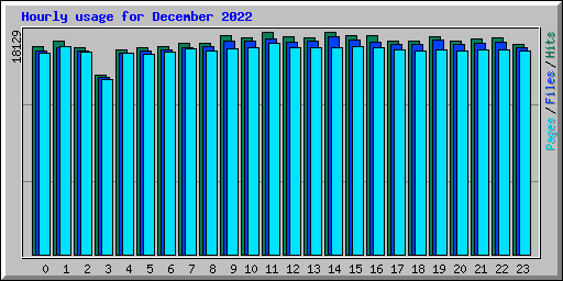 Hourly usage for December 2022