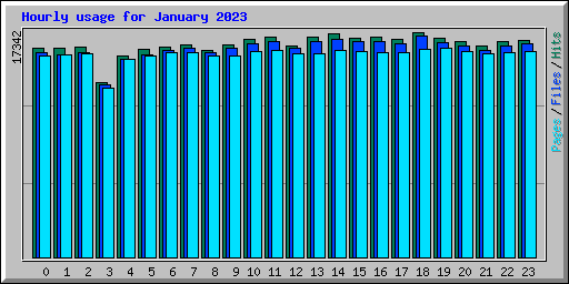 Hourly usage for January 2023